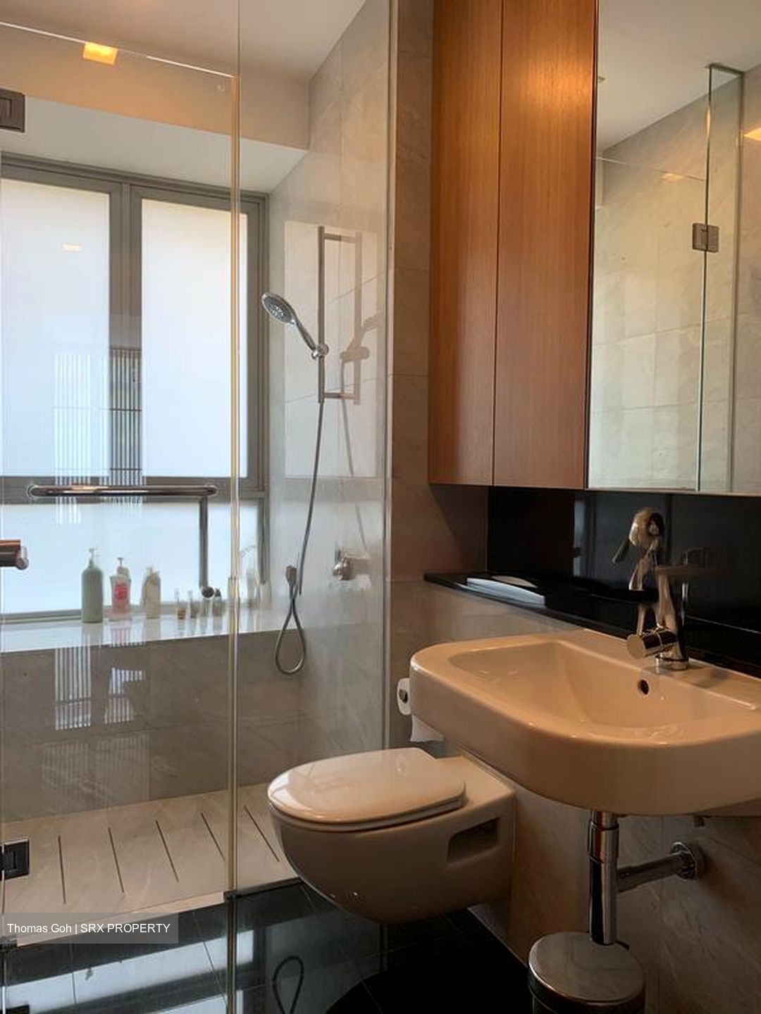 Tanglin Residences (D10), Condominium #455198941